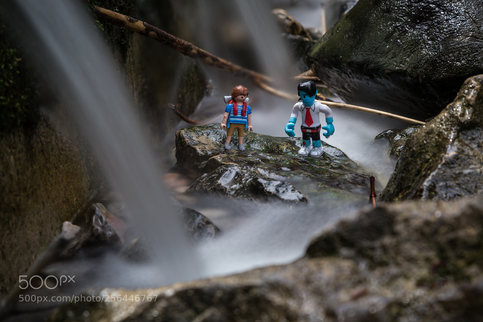 Canon EOS 6D sample photo. Wandering: their favourite activity photography