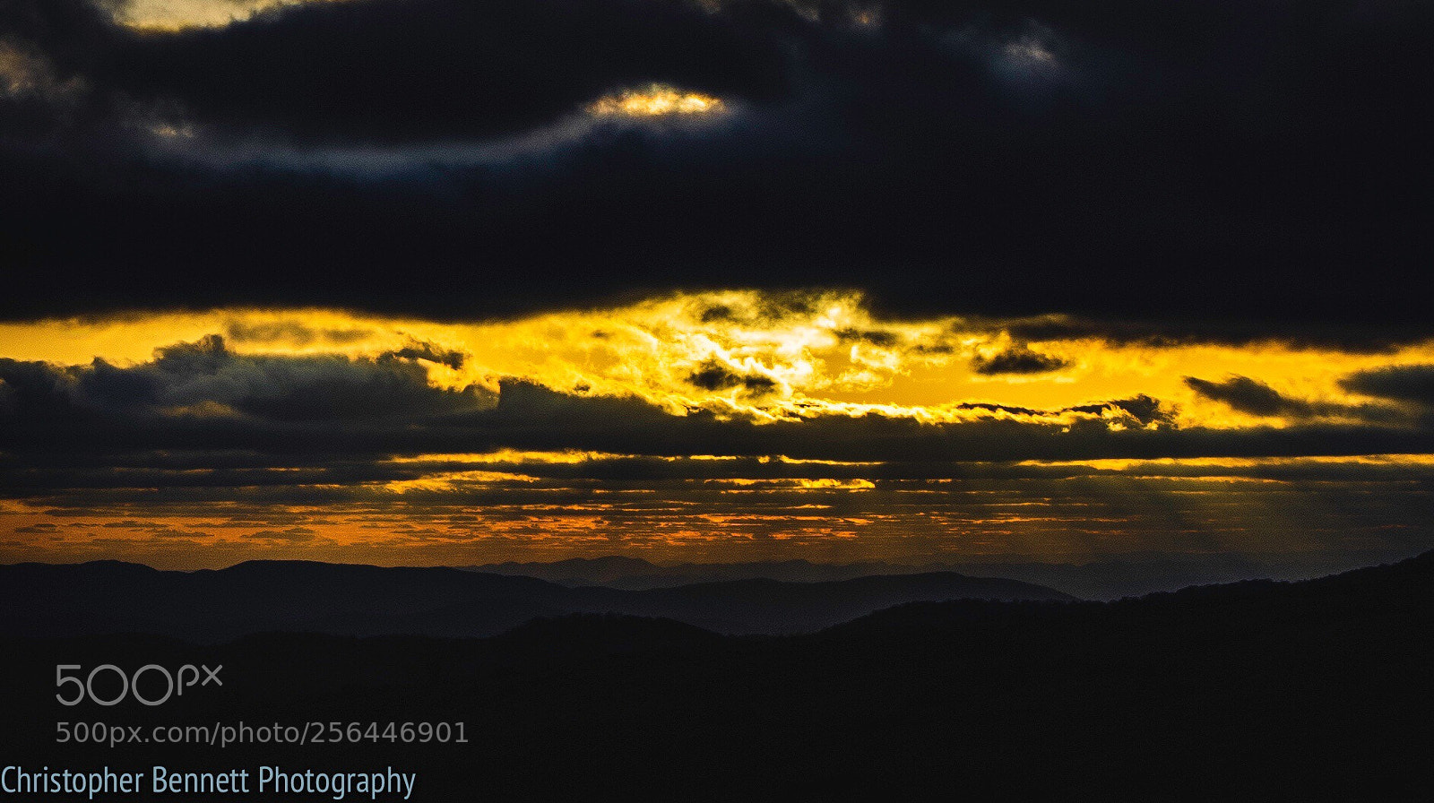 Nikon D850 sample photo. Untitled photography