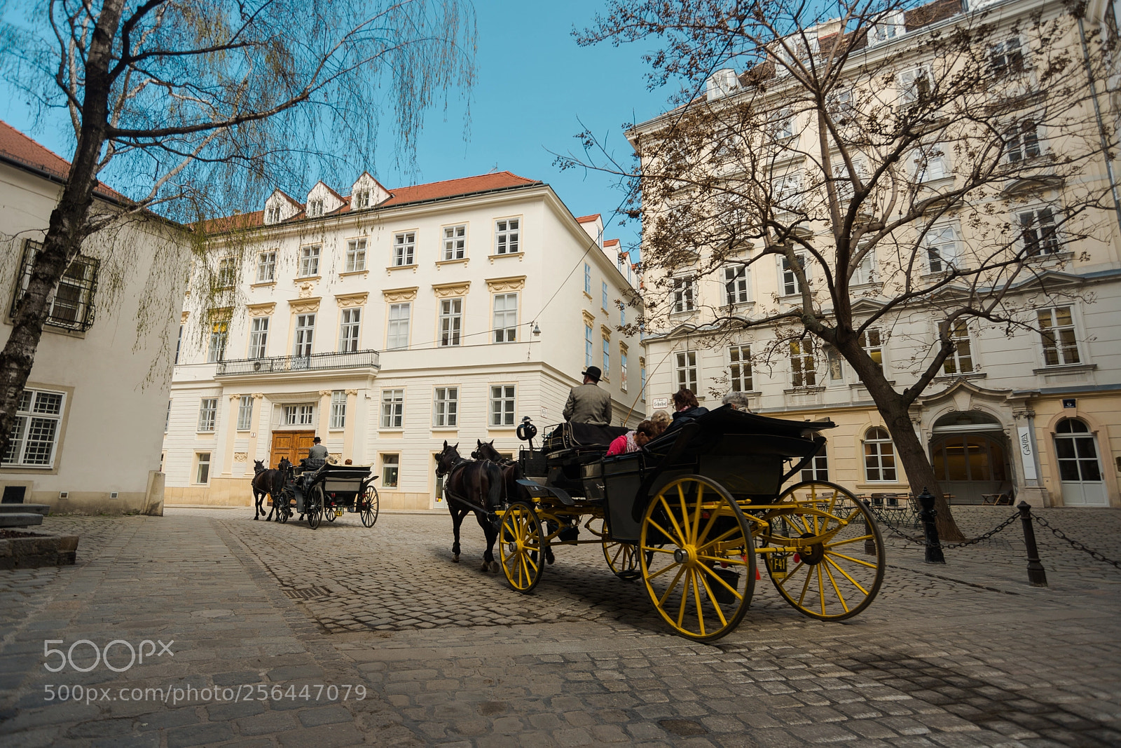 Nikon D800 sample photo. Vienna's phaetons photography