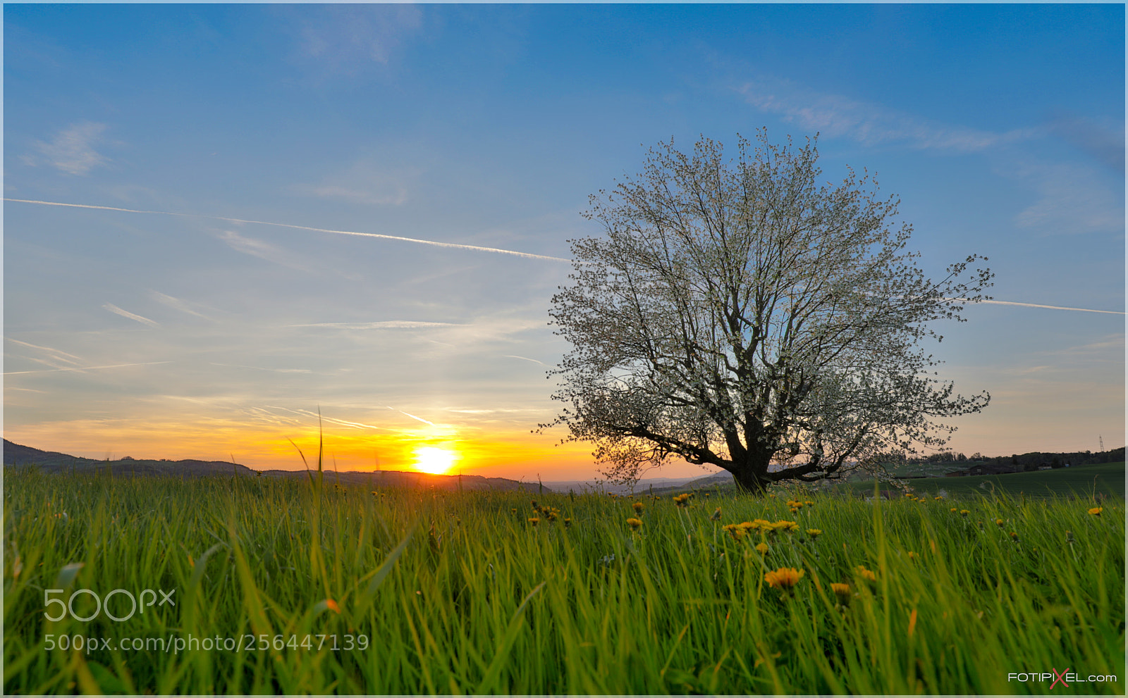 Canon EOS 5D Mark IV sample photo. Sunset in frick switzerland photography