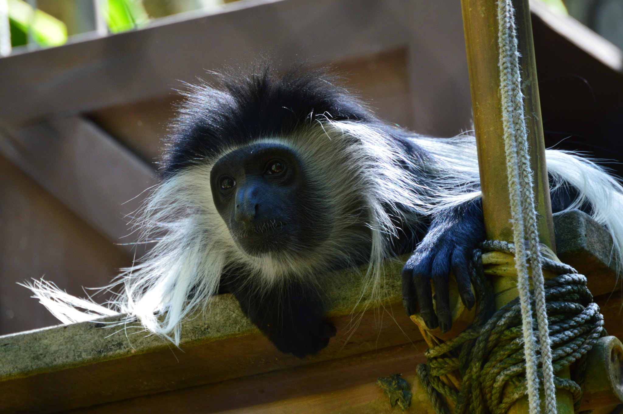 Nikon D3200 sample photo. He noticed photography