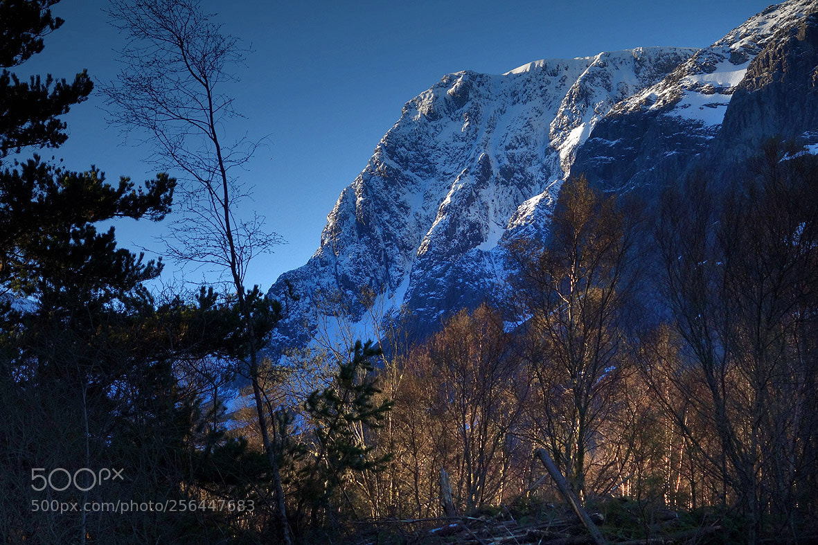 Sony Cyber-shot DSC-RX100 sample photo. Ben nevis approach, 30th photography