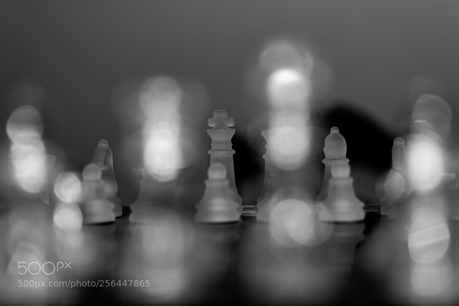 Nikon D5600 sample photo. Untitled photography