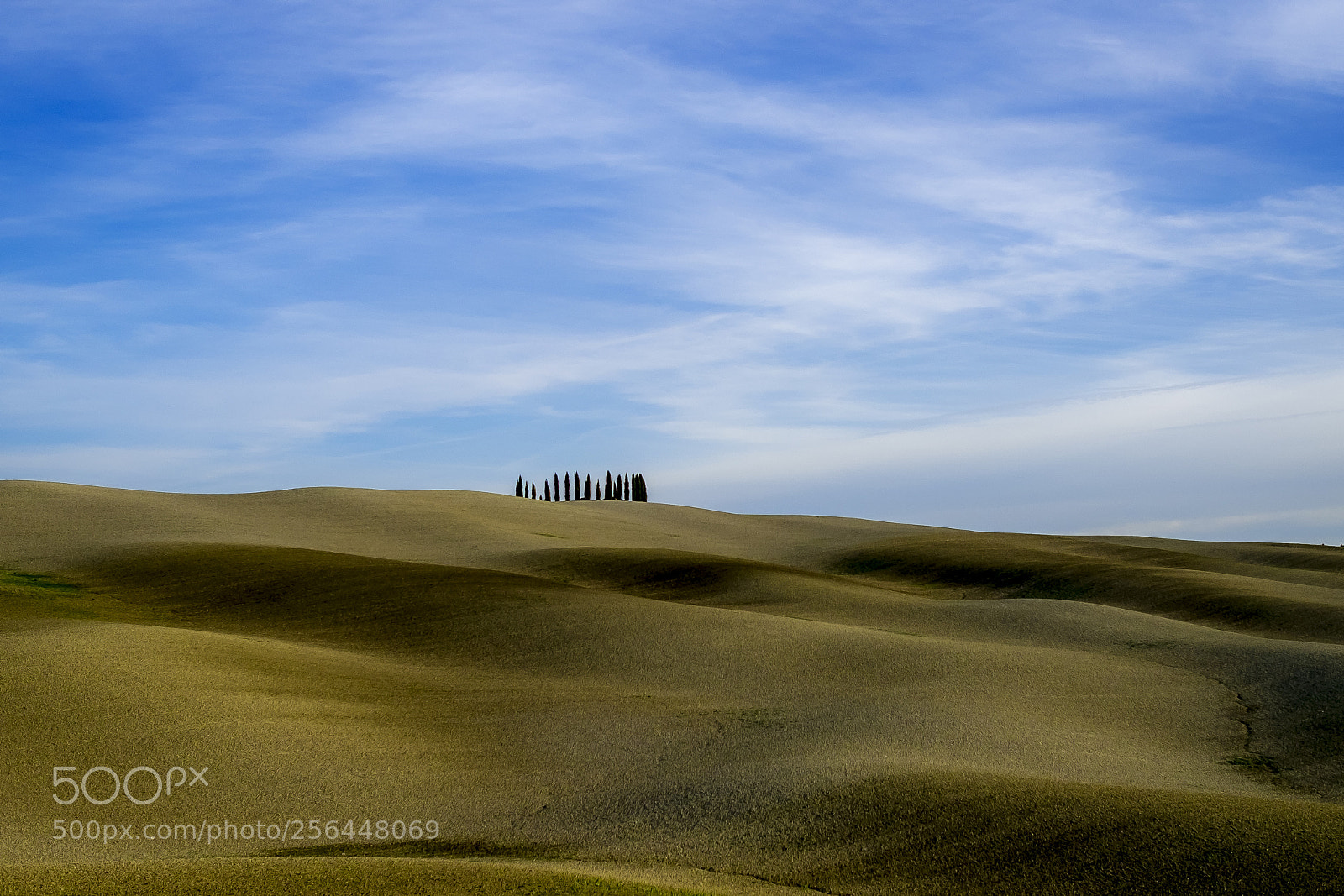 Fujifilm X-Pro1 sample photo. Classic tuscany landscape photography