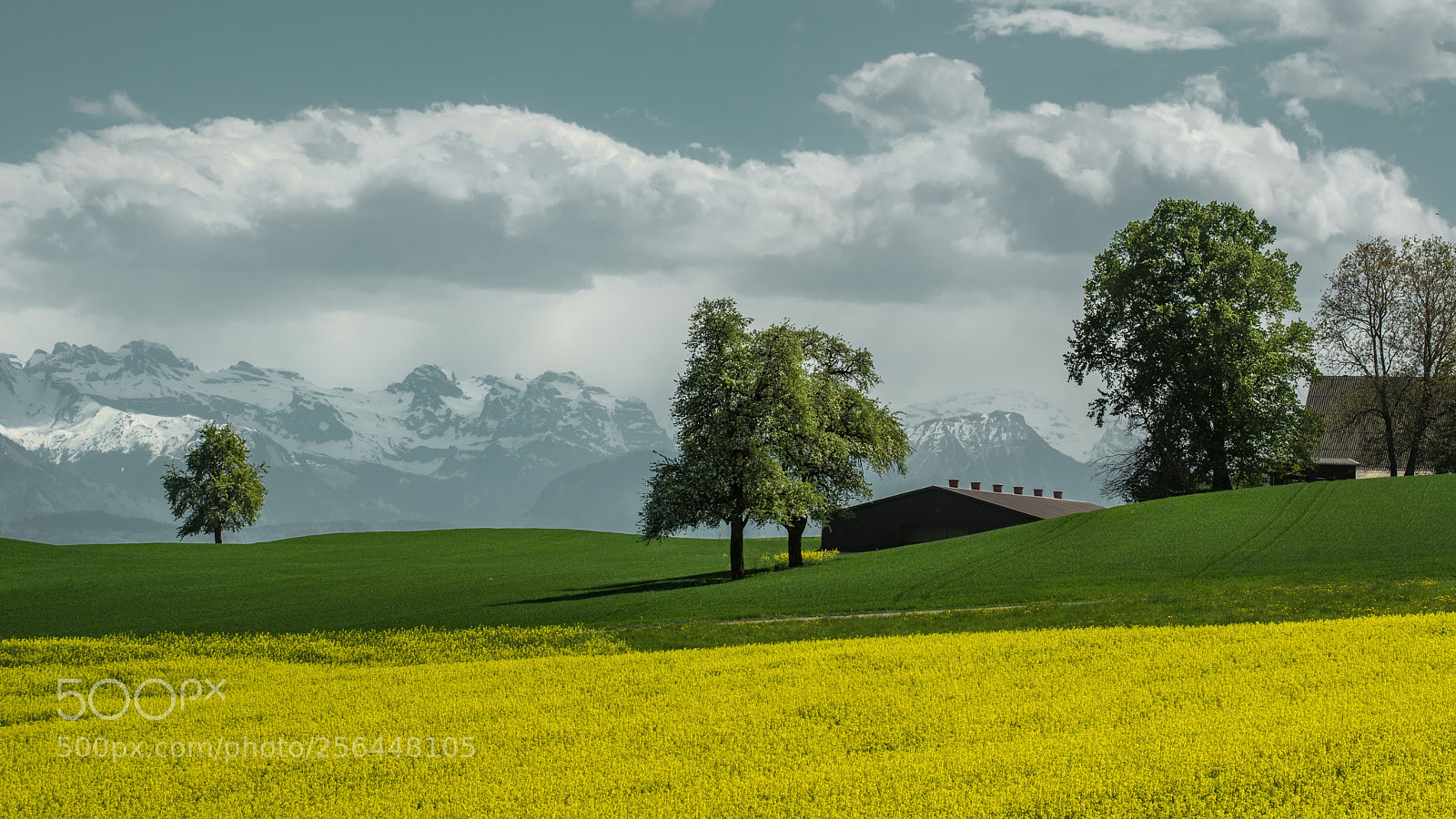 Nikon D750 sample photo. Swiss designed countryside photography