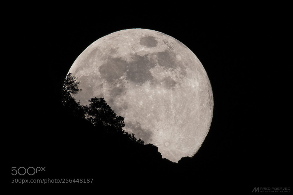 Nikon D500 sample photo. Moongraze photography