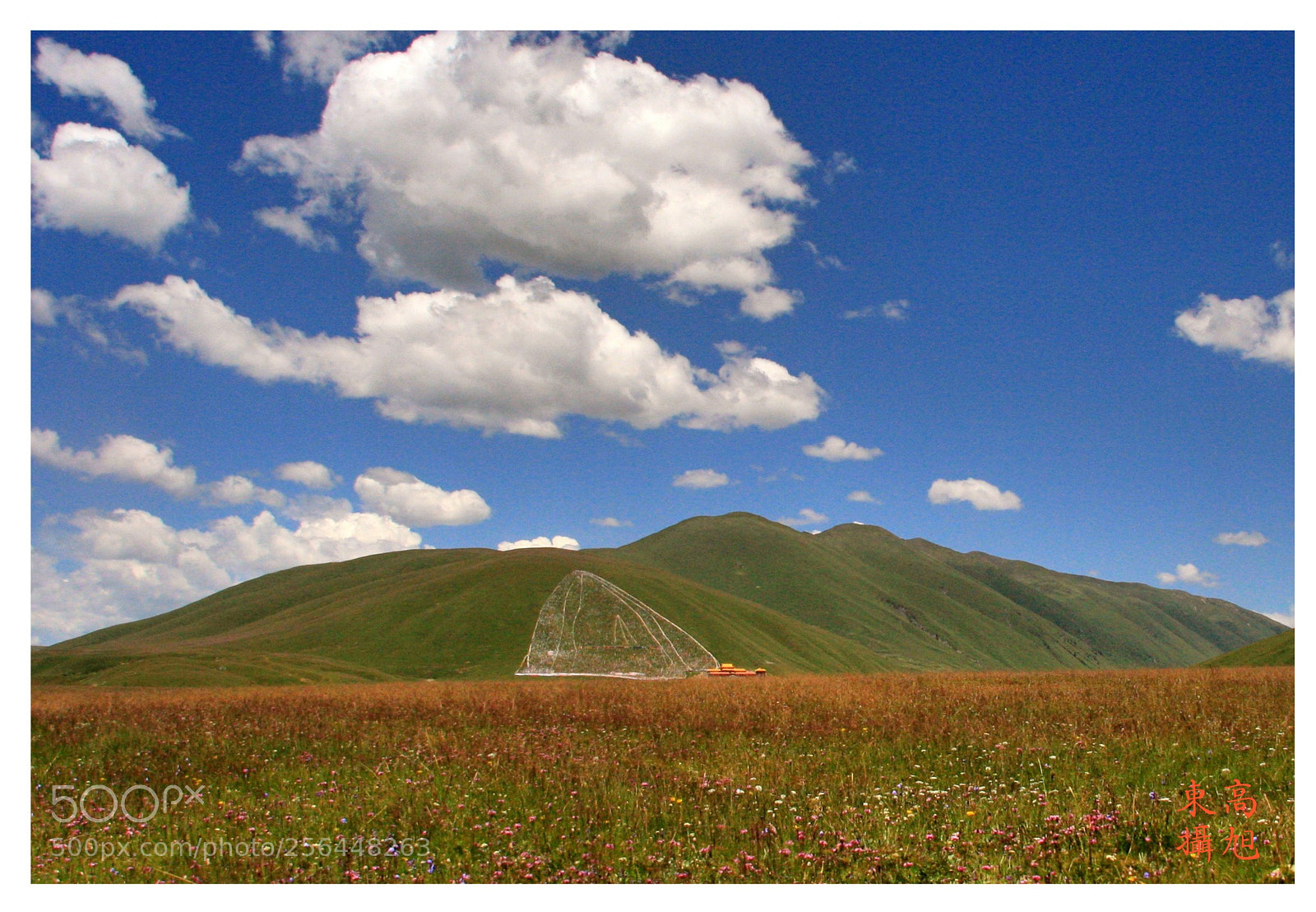 Canon EOS 40D sample photo. 扎西德勒 photography