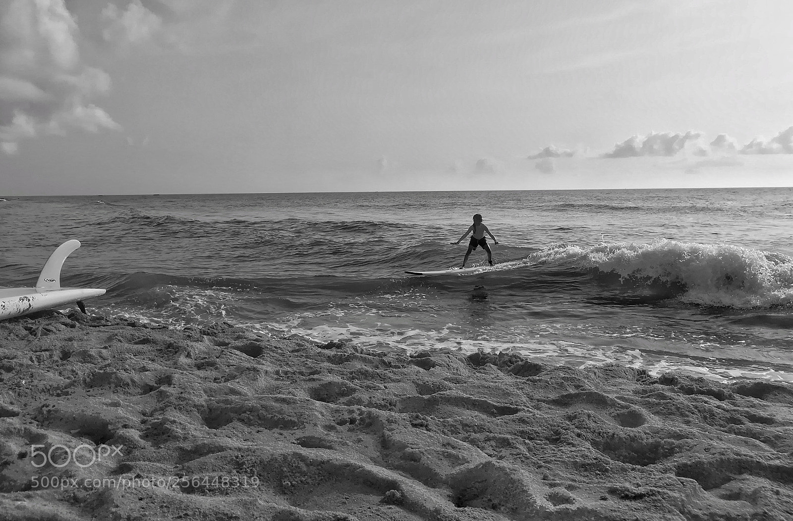 HUAWEI honor 6x sample photo. Surf. photography