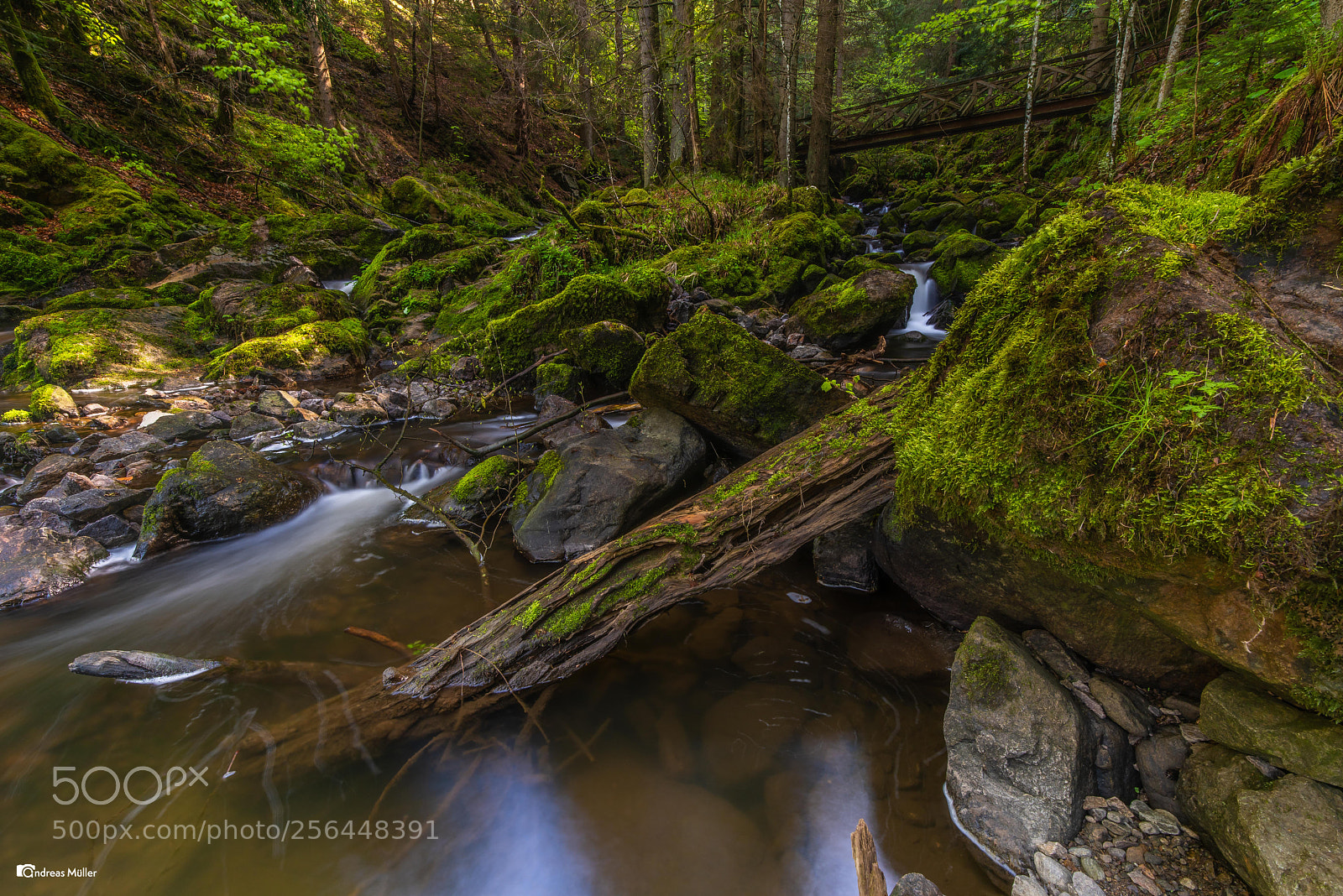 Nikon D810 sample photo. Ravennaschlucht photography