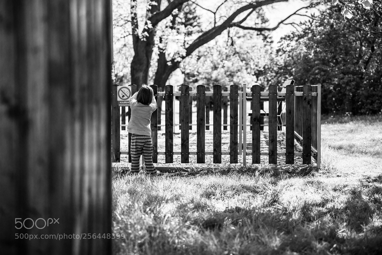 Canon EOS 6D Mark II sample photo. Park geometry photography