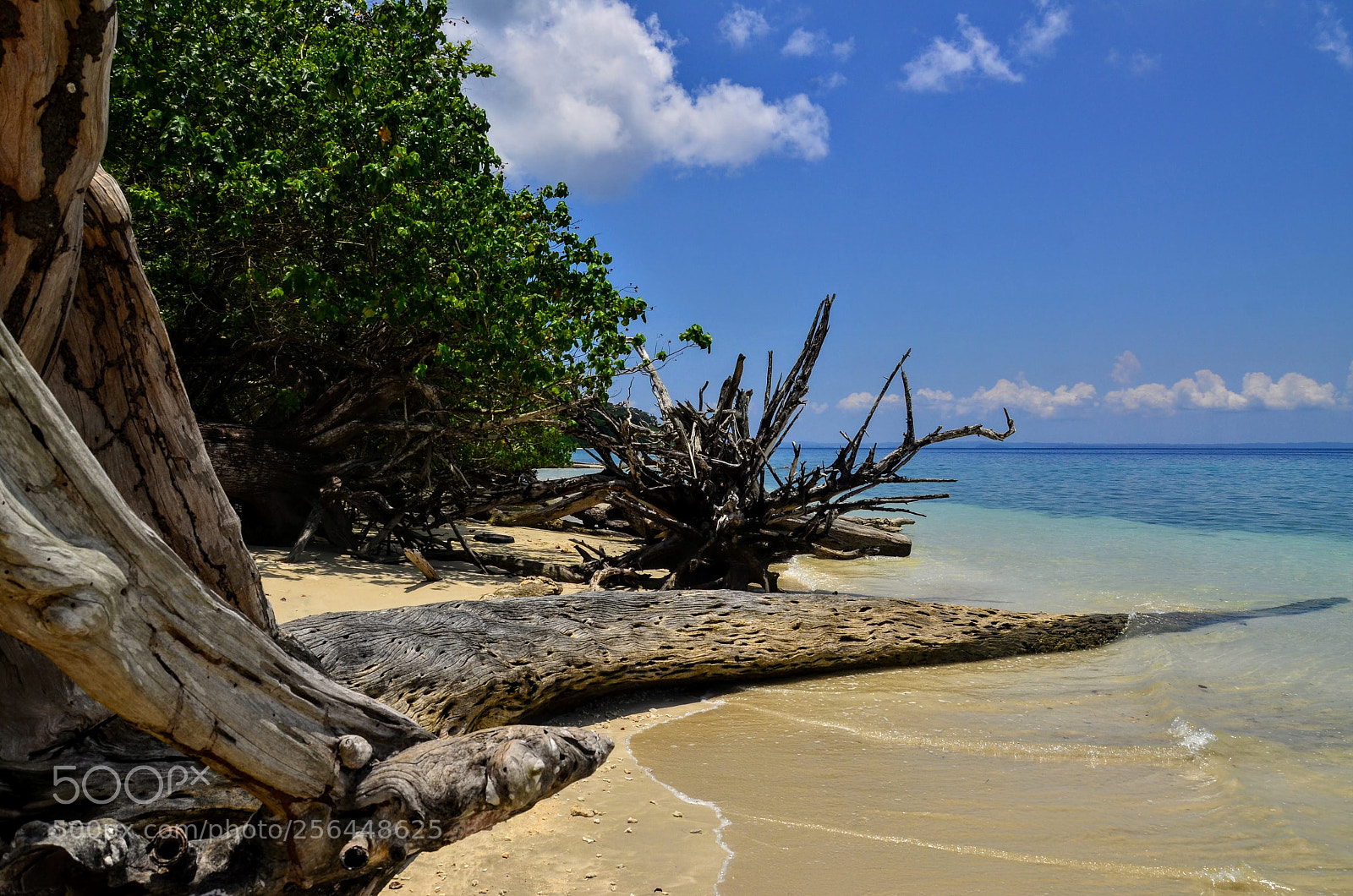 Nikon D7000 sample photo. Serene seascape... photography