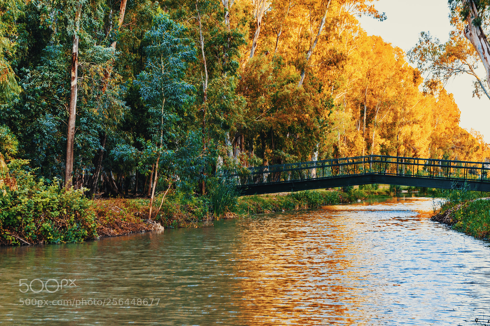 Nikon D7200 sample photo. Color in nature photography