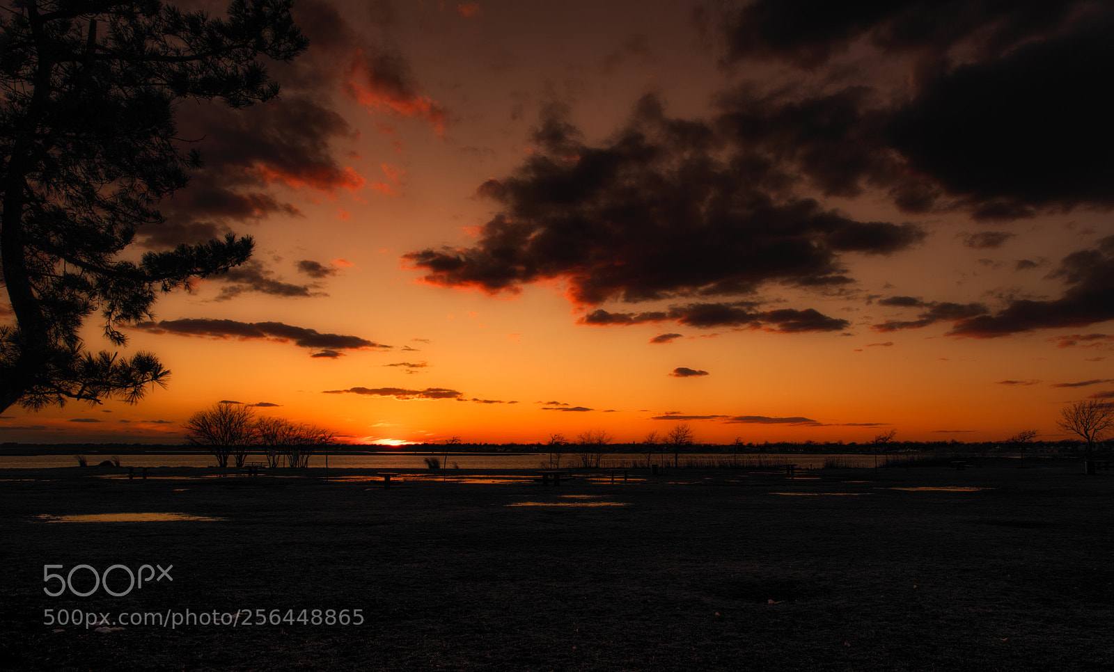 Nikon D810 sample photo. Sunset at the bay photography