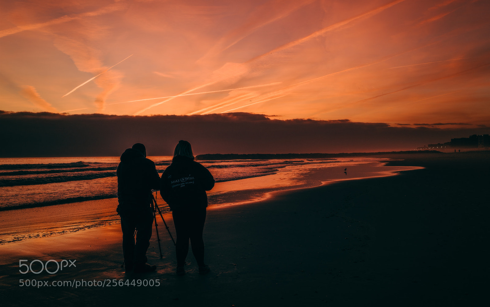 Nikon D810 sample photo. Winter walk photography