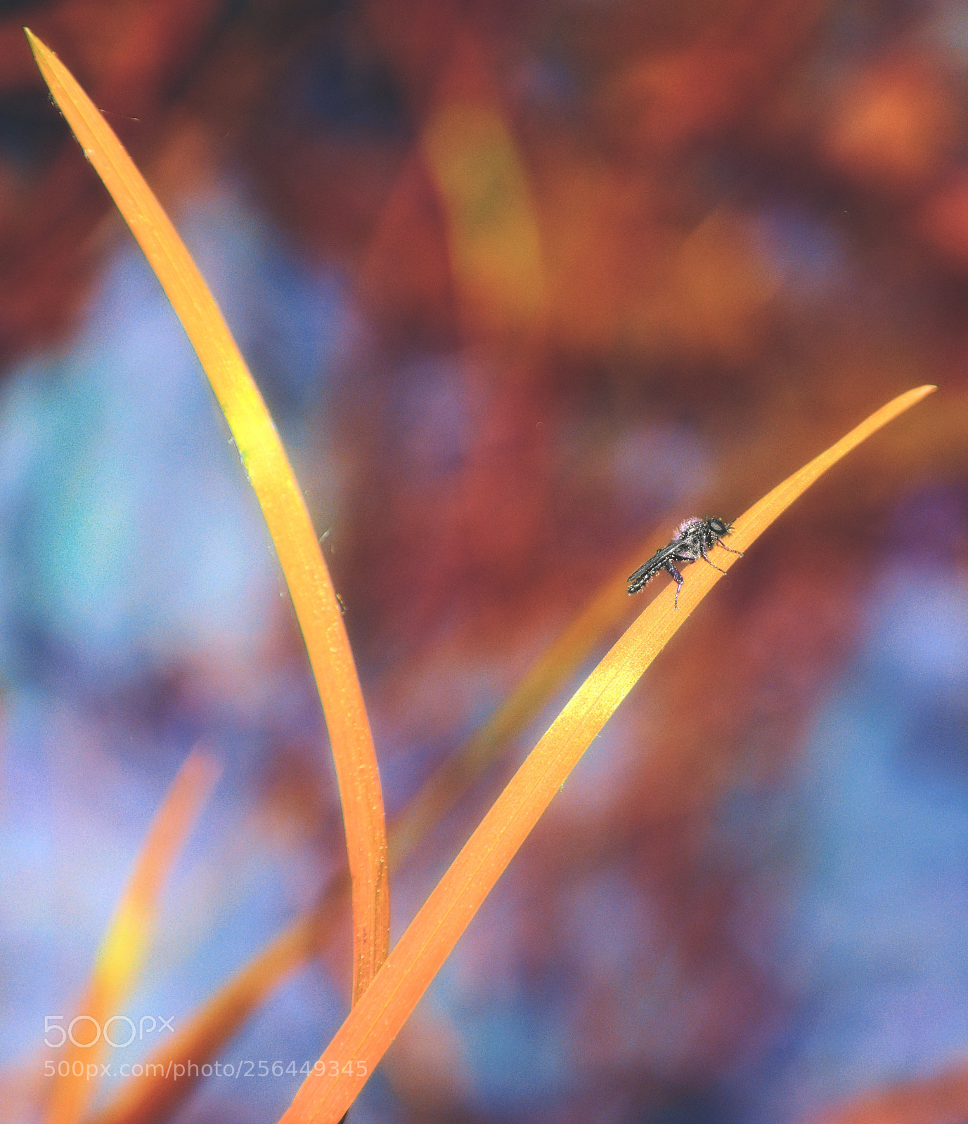 Nikon D3300 sample photo. Aesthetics 2.0 photography