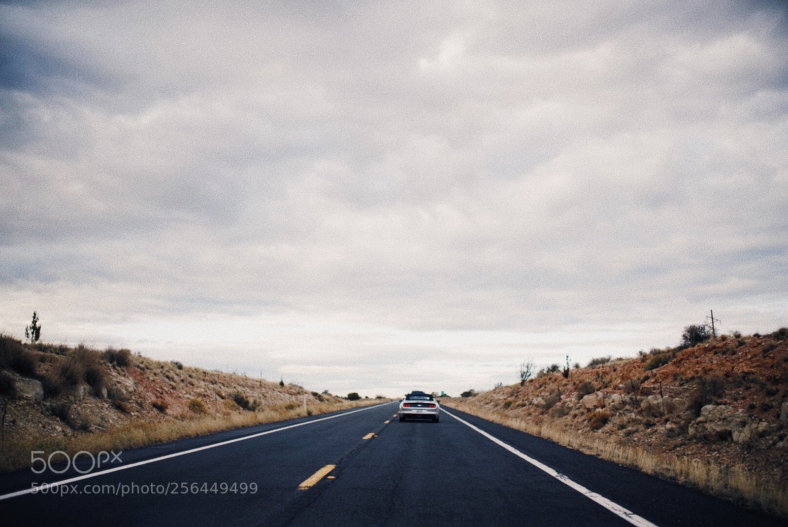 Sony a7R III sample photo. Processed with vsco with photography