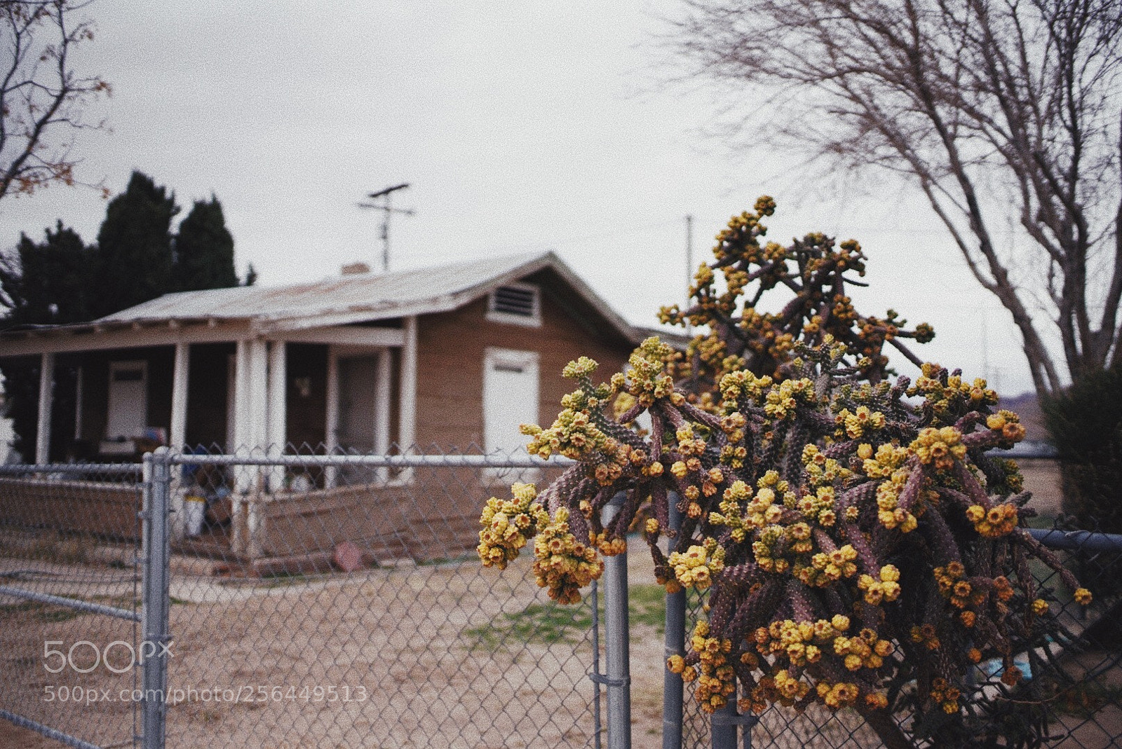 Sony a7R III sample photo. Processed with vsco with photography