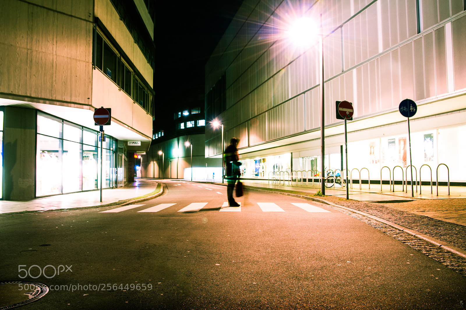 Nikon D300 sample photo. Crossing photography