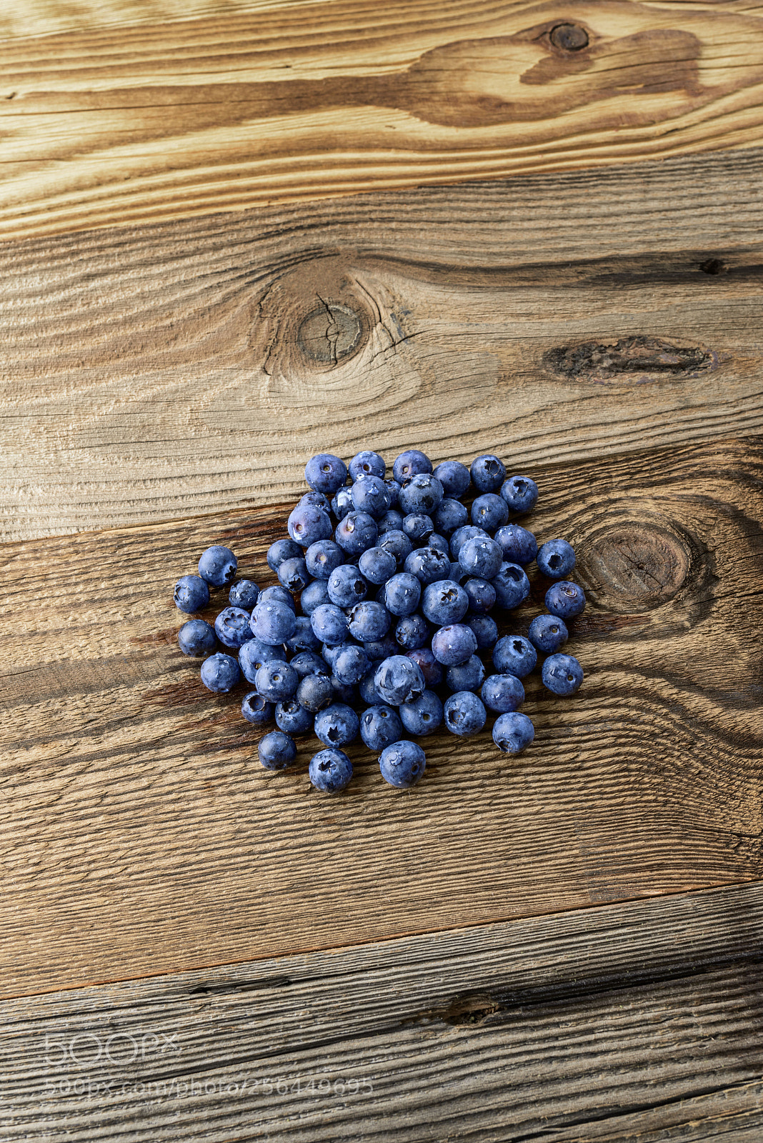 Nikon D800 sample photo. Blueberries photography