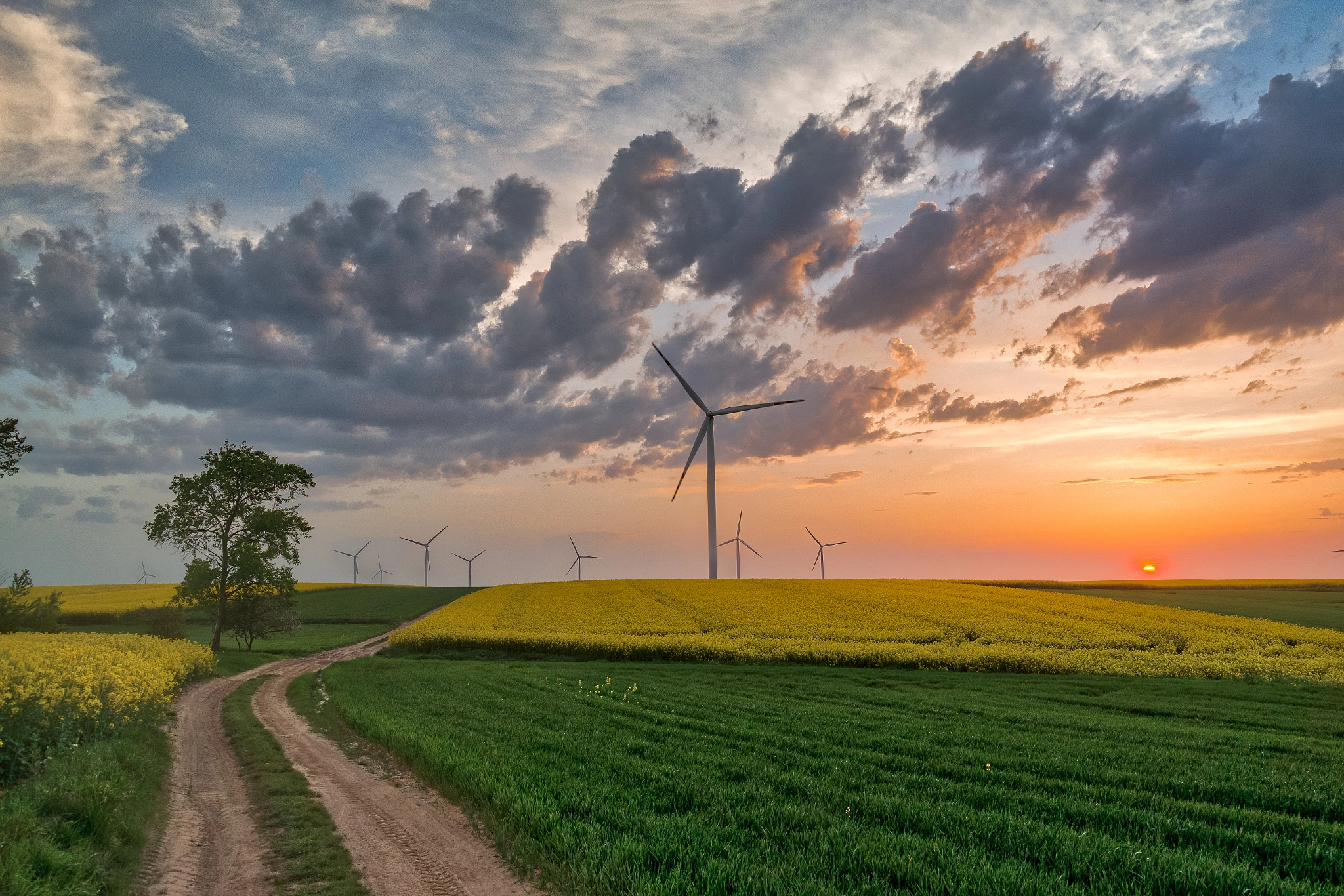 Samsung NX30 sample photo. Wind farm photography