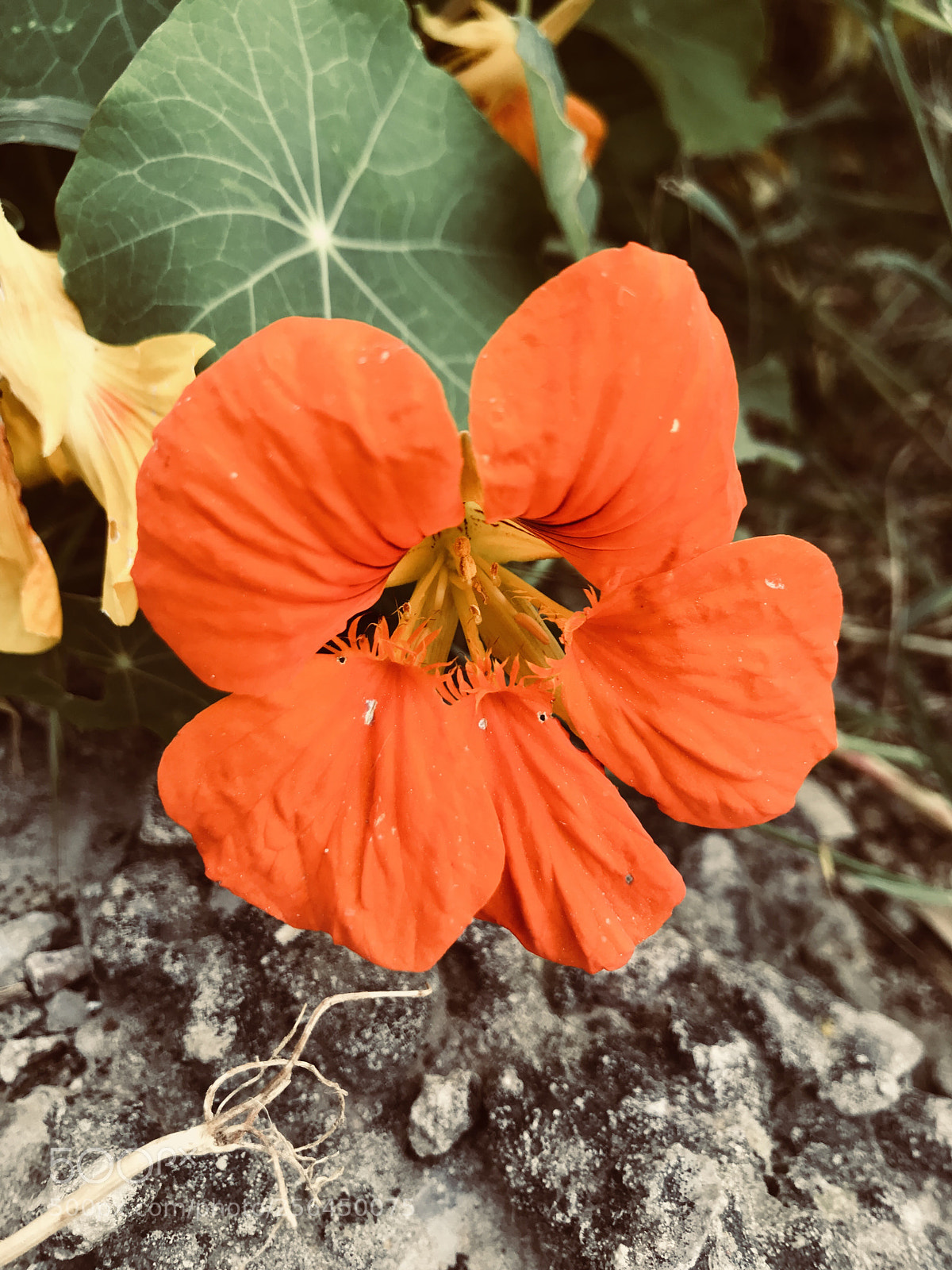 Apple iPhone 7 sample photo. Untitled photography
