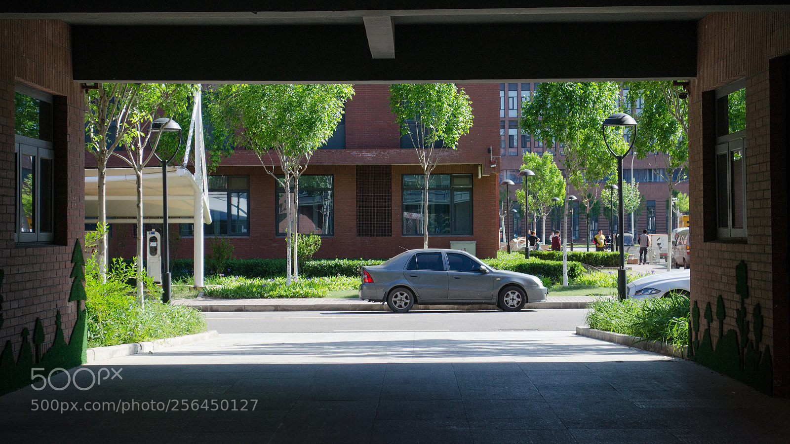 Nikon D5100 sample photo. Nankai university photography
