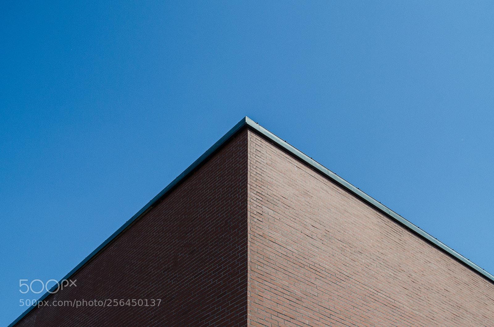 Nikon D5100 sample photo. Nankai university photography
