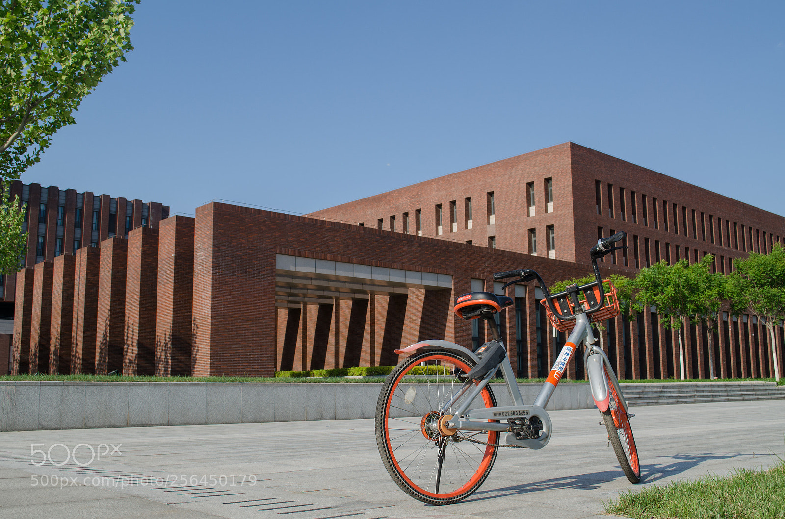 Nikon D5100 sample photo. Nankai university photography