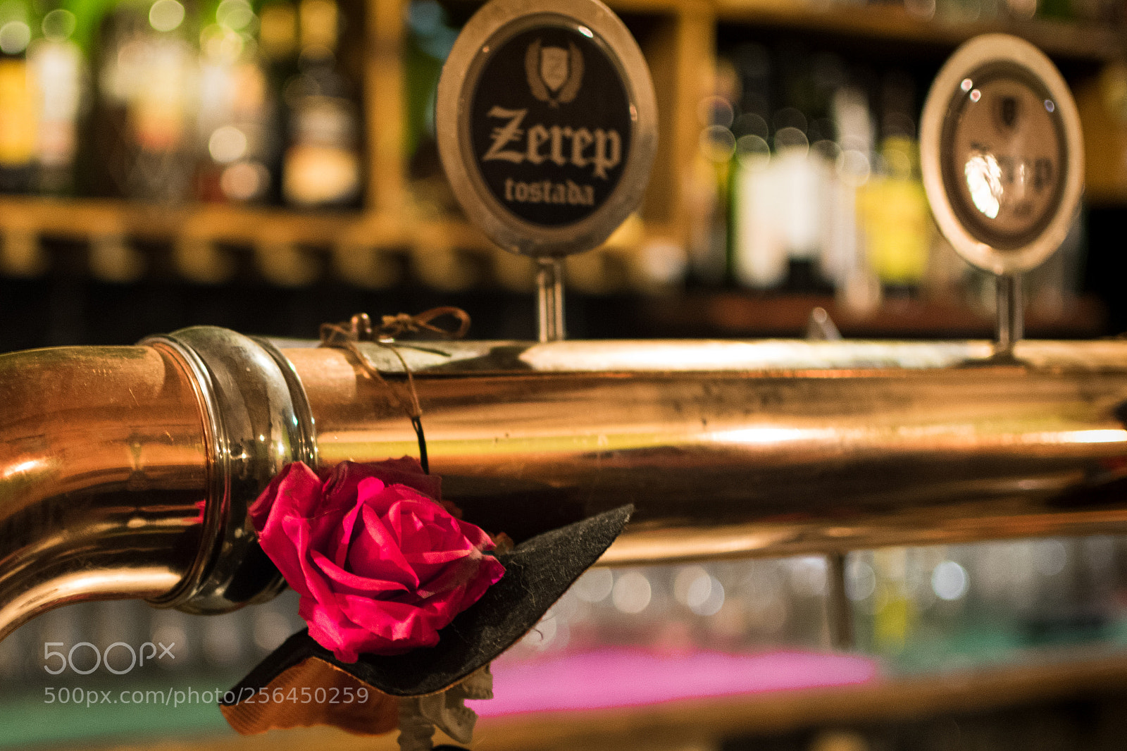 Nikon D5300 sample photo. Rose in a barrel photography