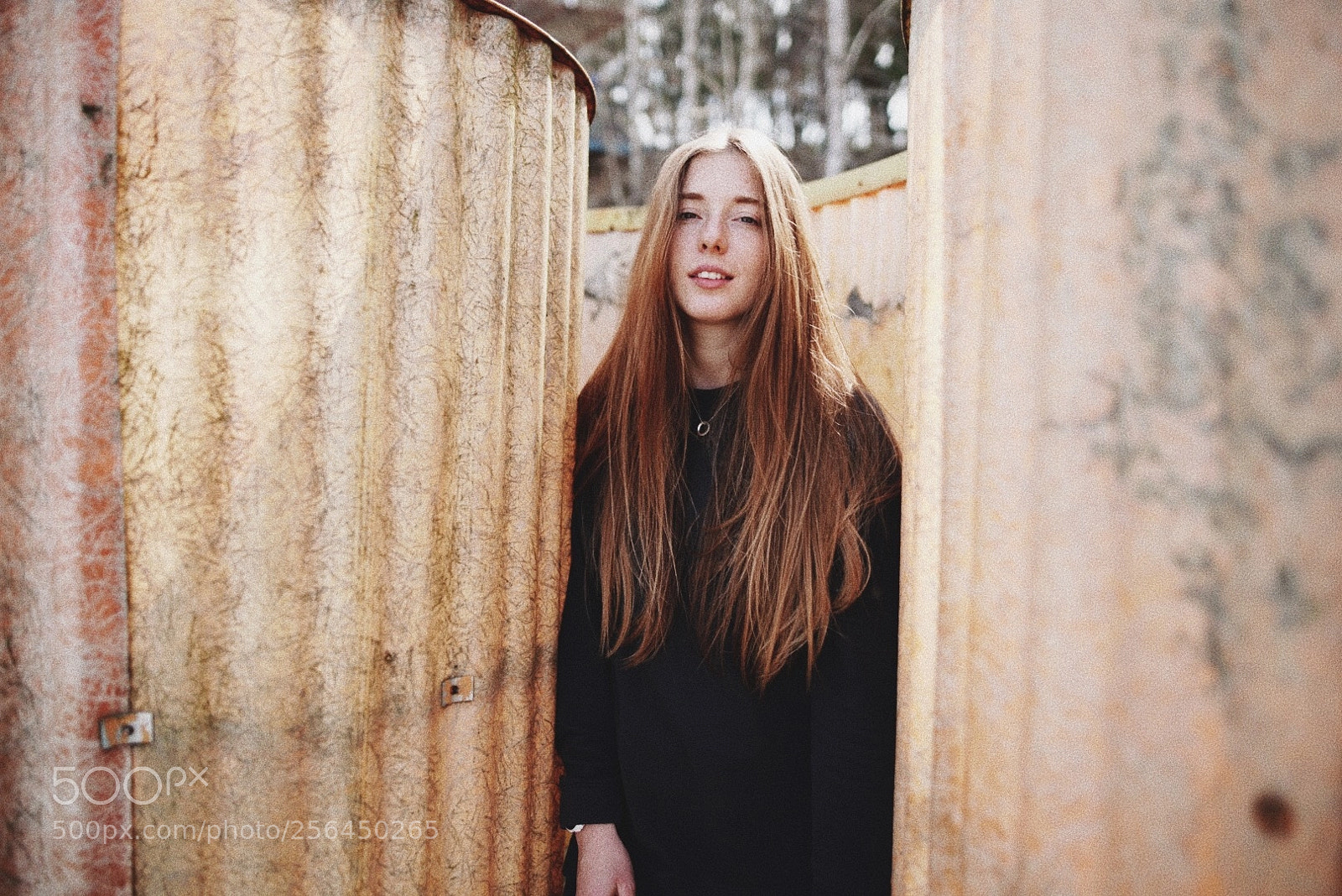 Sony a7R III sample photo. Processed with vsco with photography