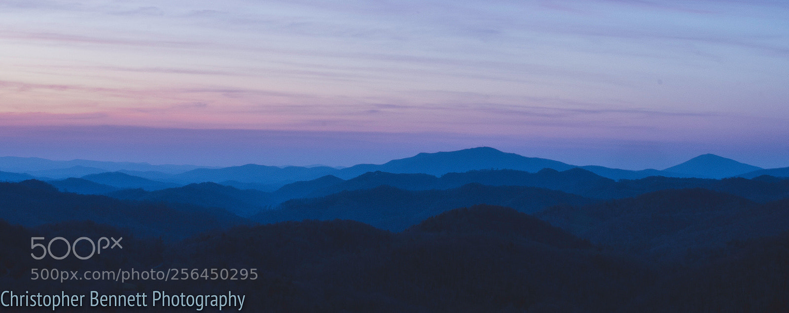 Nikon D850 sample photo. Untitled photography