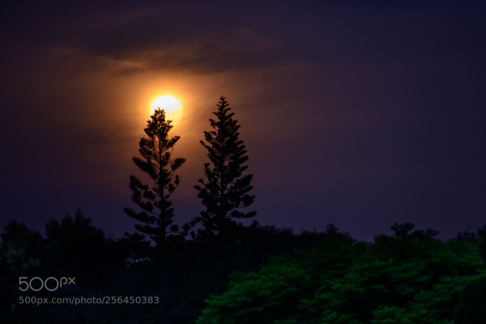 Nikon D850 sample photo. Sunset glow photography