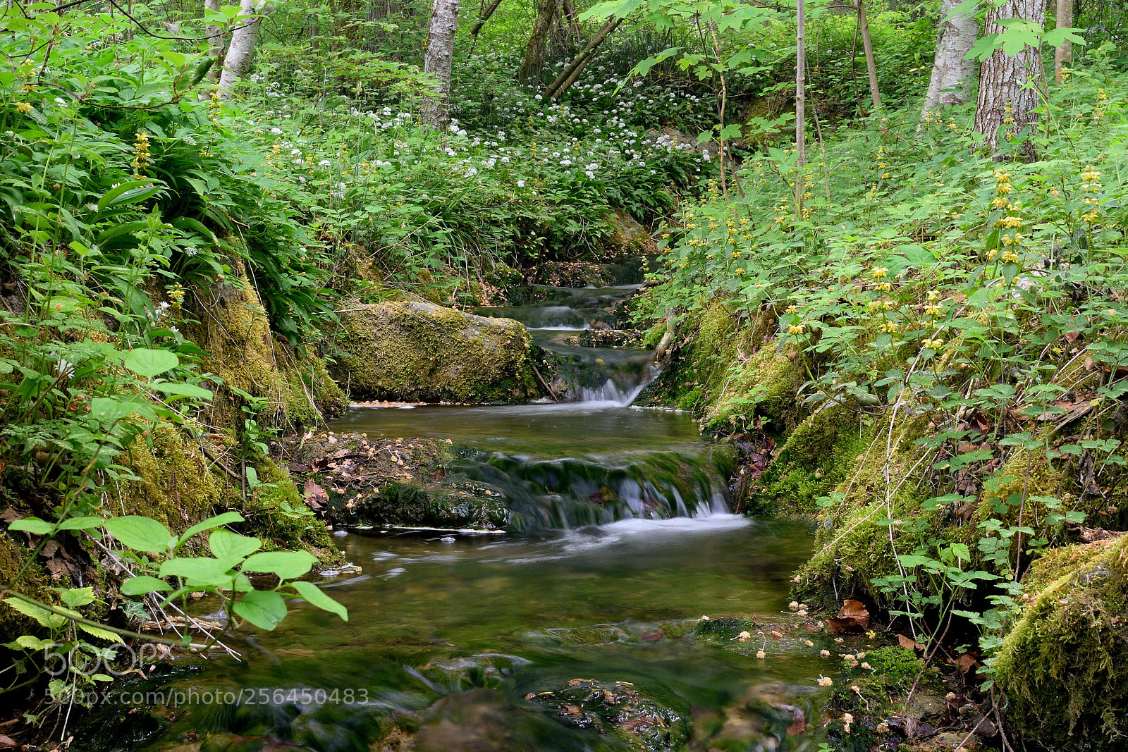 Nikon D3300 sample photo. Wasserfall photography