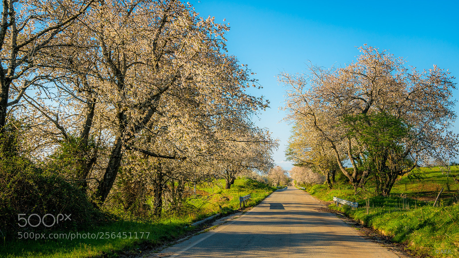 Sony a7R II sample photo. Calabria, impression 16 photography