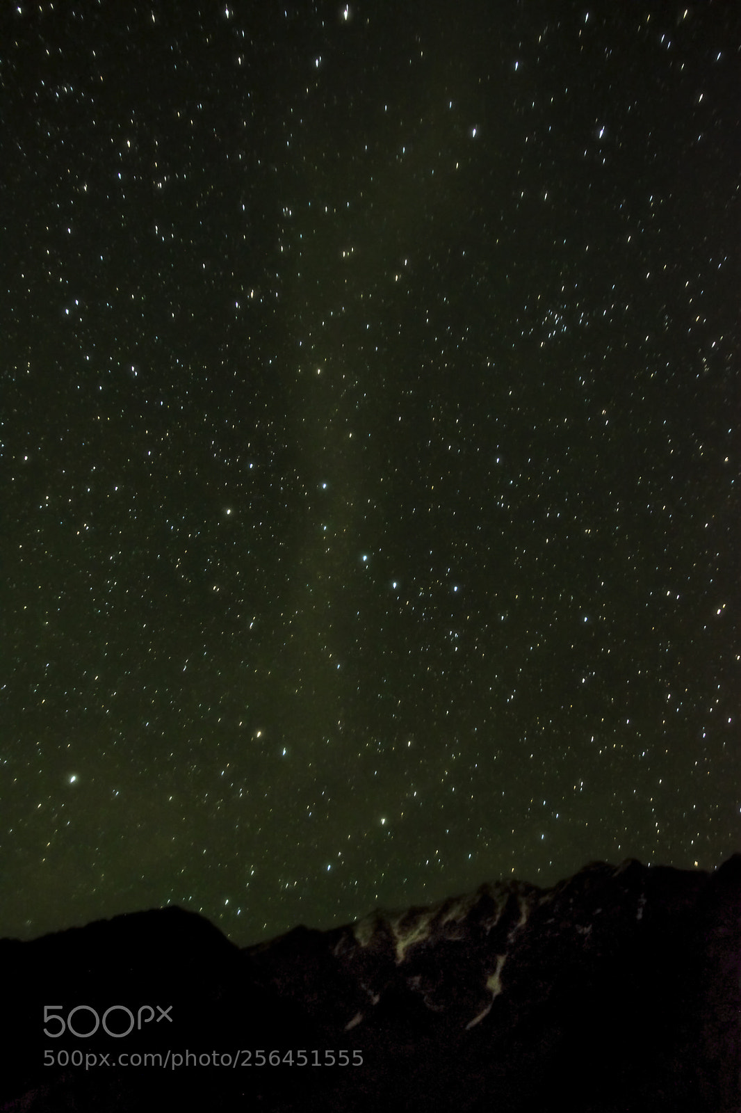 Nikon D5300 sample photo. A dreamy night sky photography