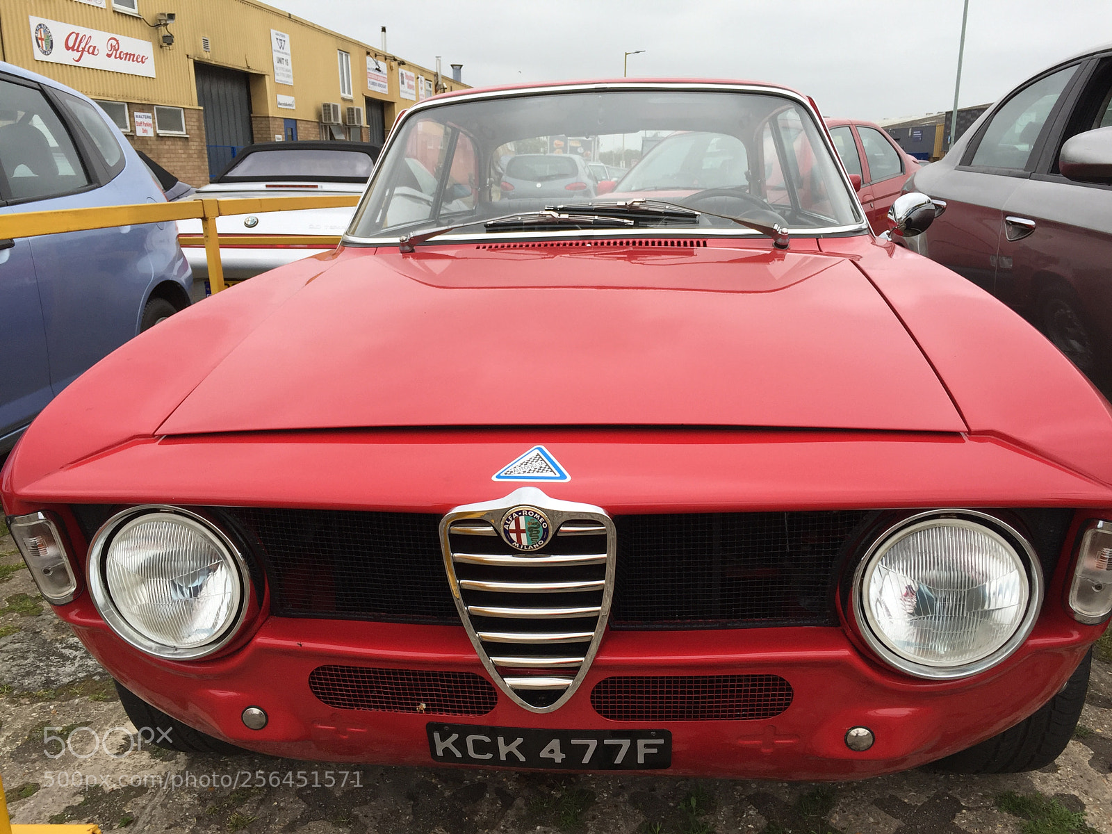 Apple iPhone 6 sample photo. 1968 alfa romeo gt veloce photography