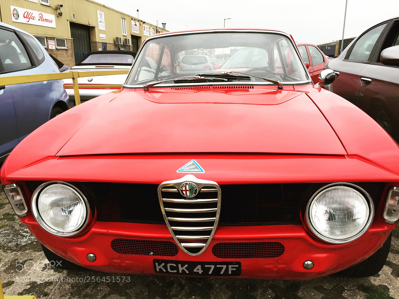 Apple iPhone 6 sample photo. 1968 alfa romeo gt veloce photography