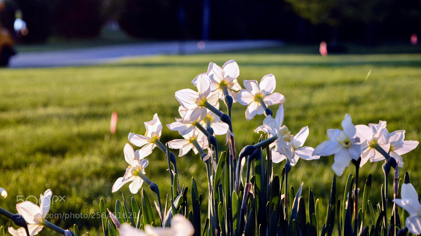 Nikon D7100 sample photo. Untitled photography