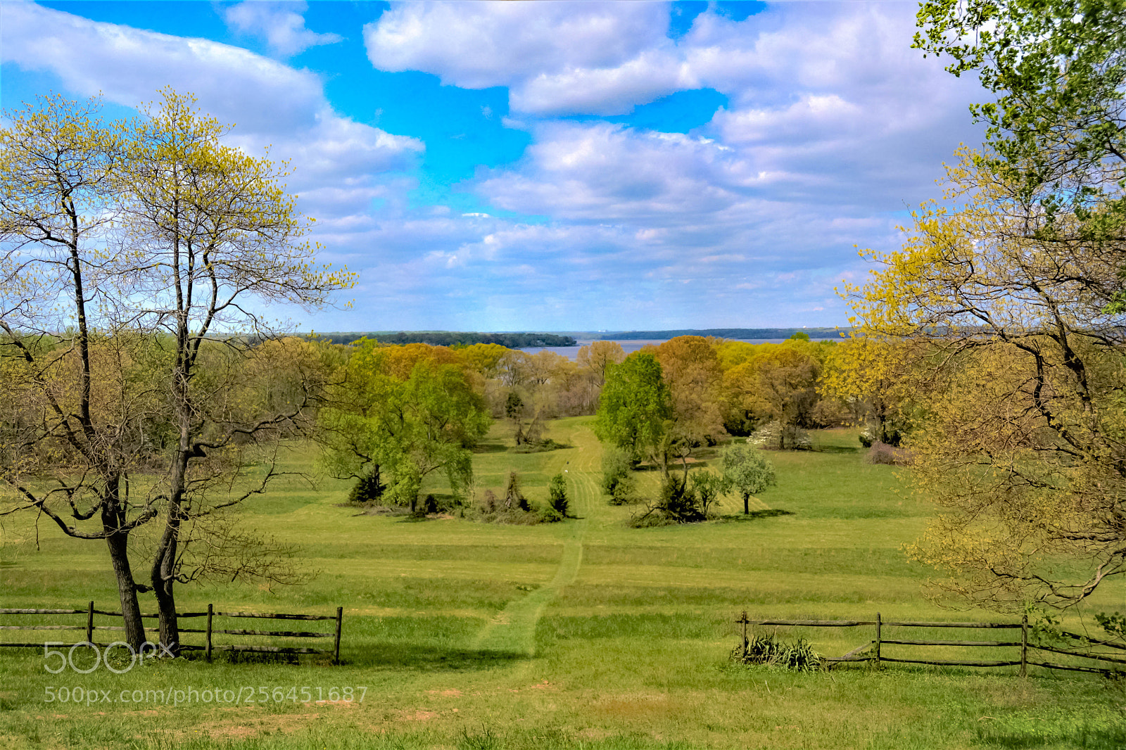 Nikon D5200 sample photo. View to the river photography