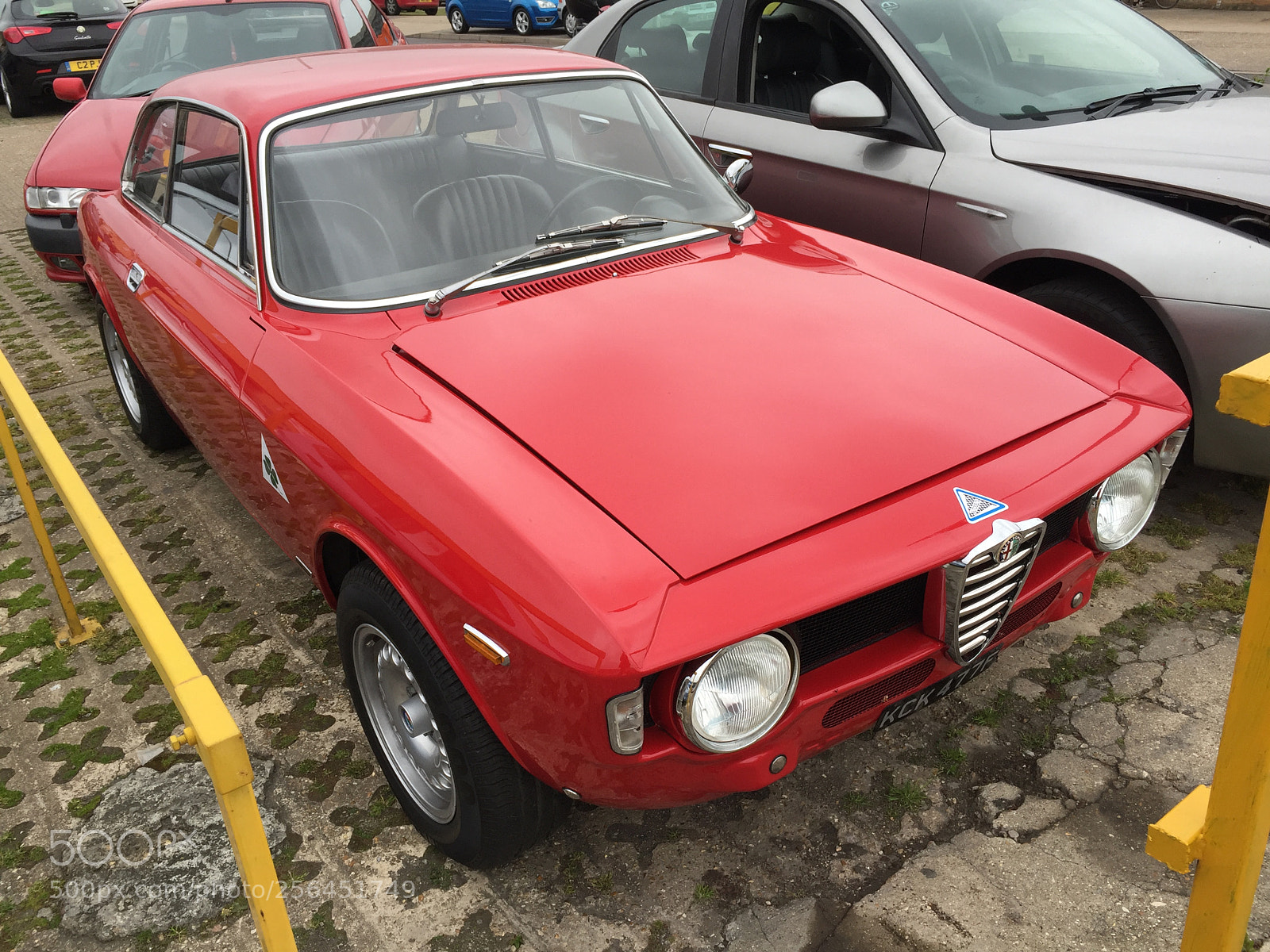 Apple iPhone 6 sample photo. 1968 alfa romeo gt veloce photography