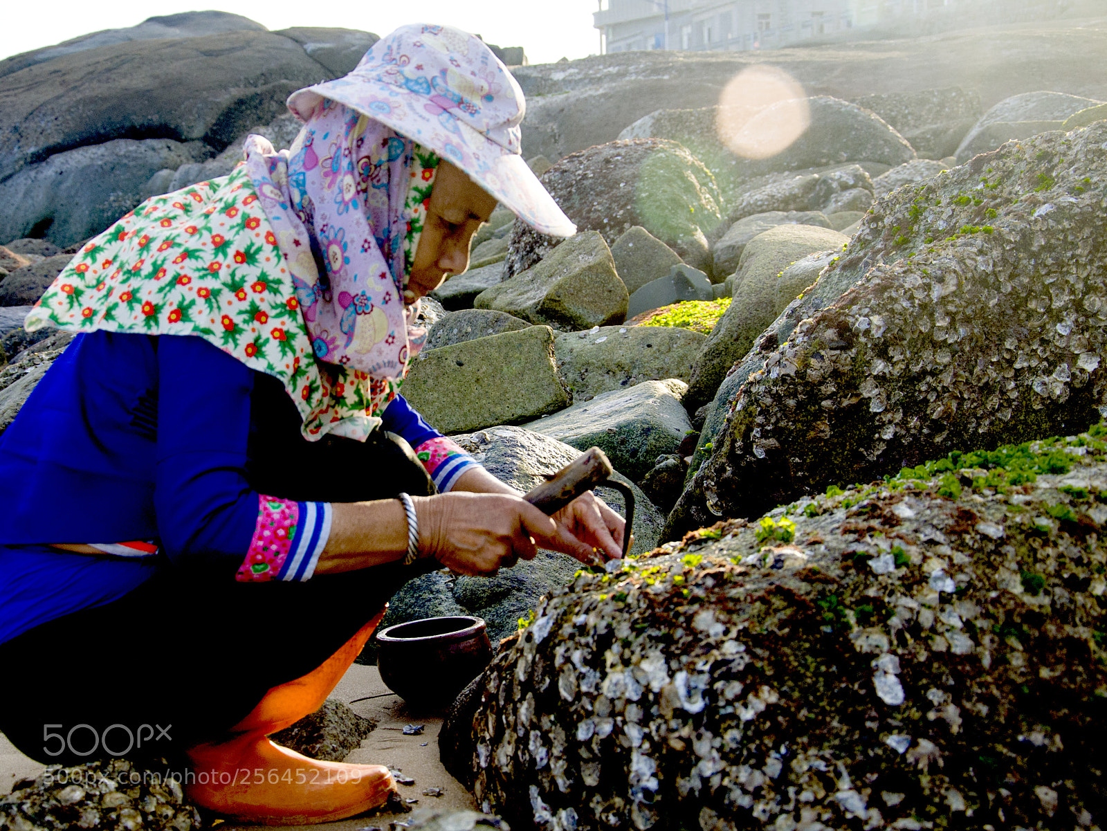 Nikon D90 sample photo. Dig oysters photography