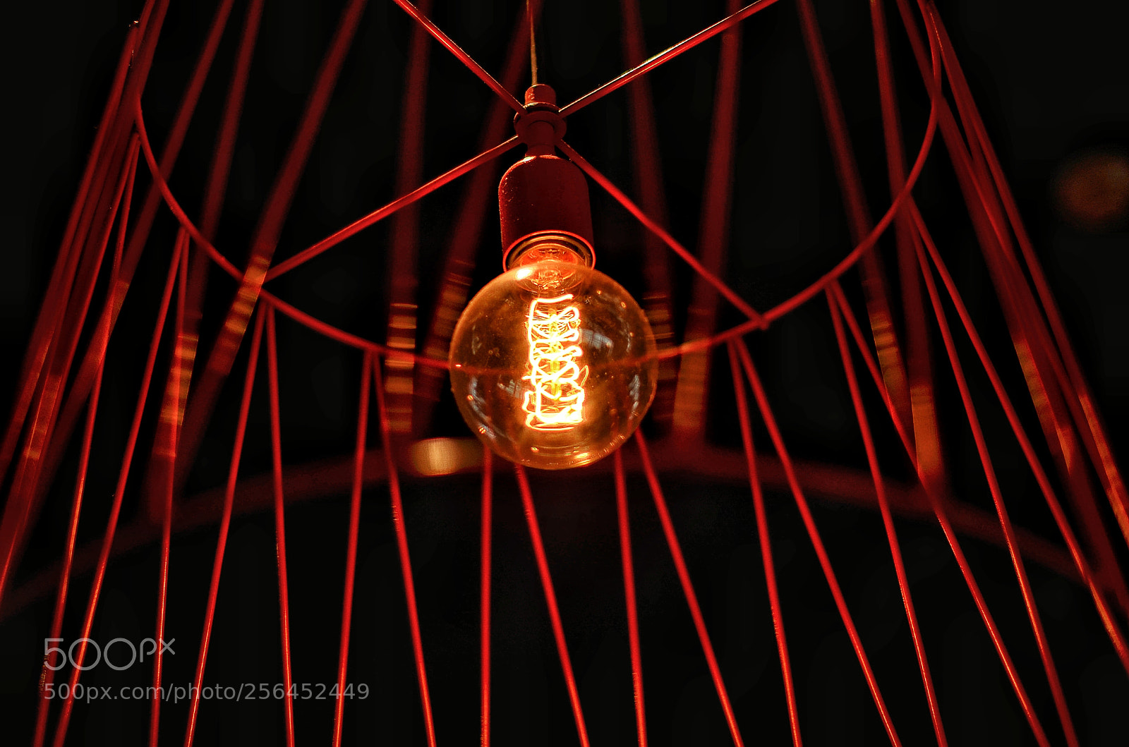 Nikon D7000 sample photo. Untitled photography