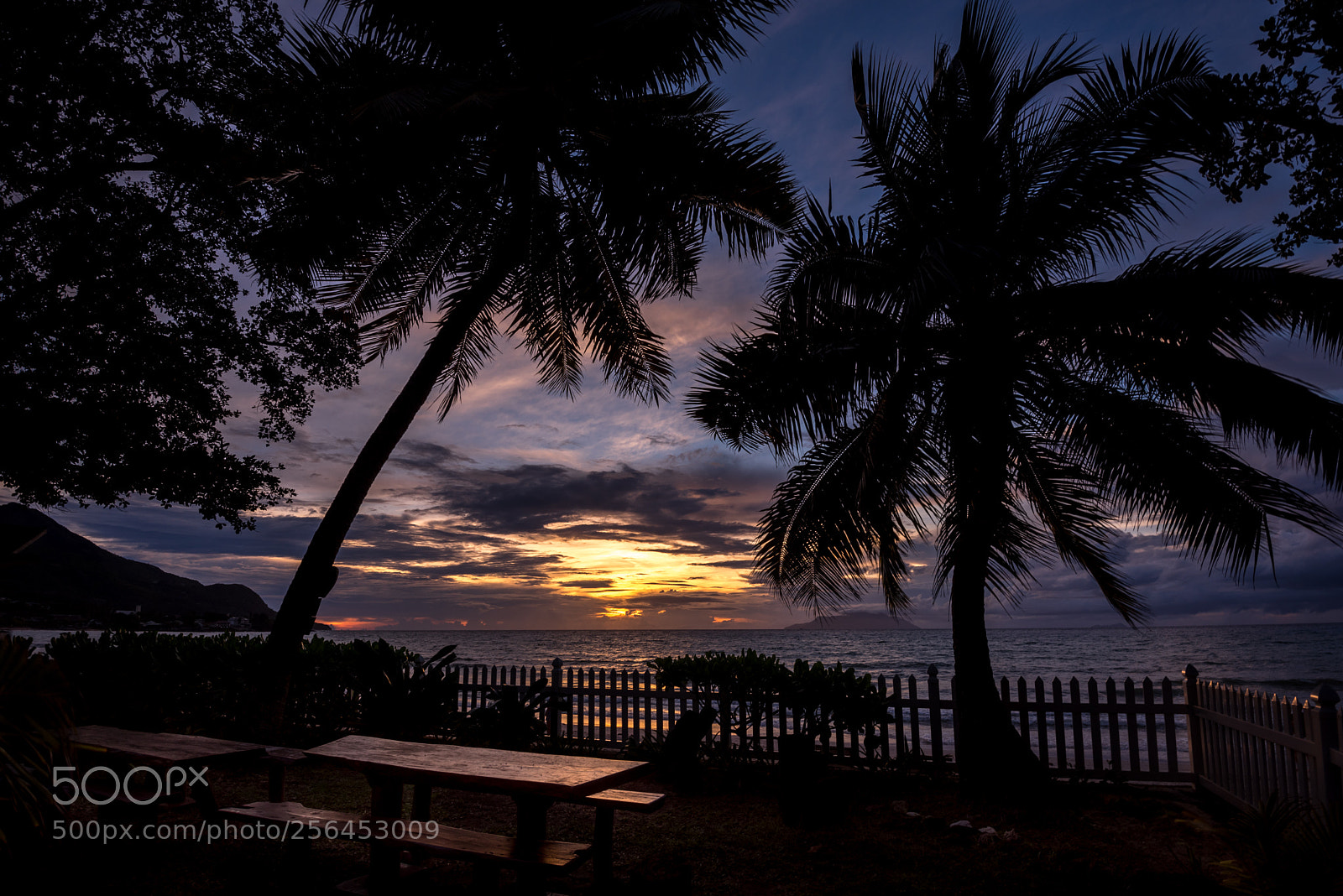 Nikon D750 sample photo. Backyard sunset photography