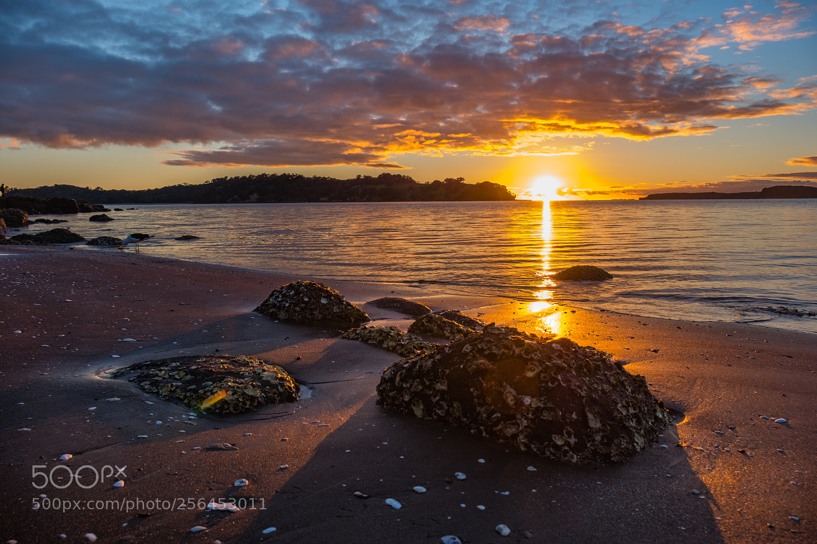 Fujifilm X-T2 sample photo. Sunrise in sullivan's bay photography