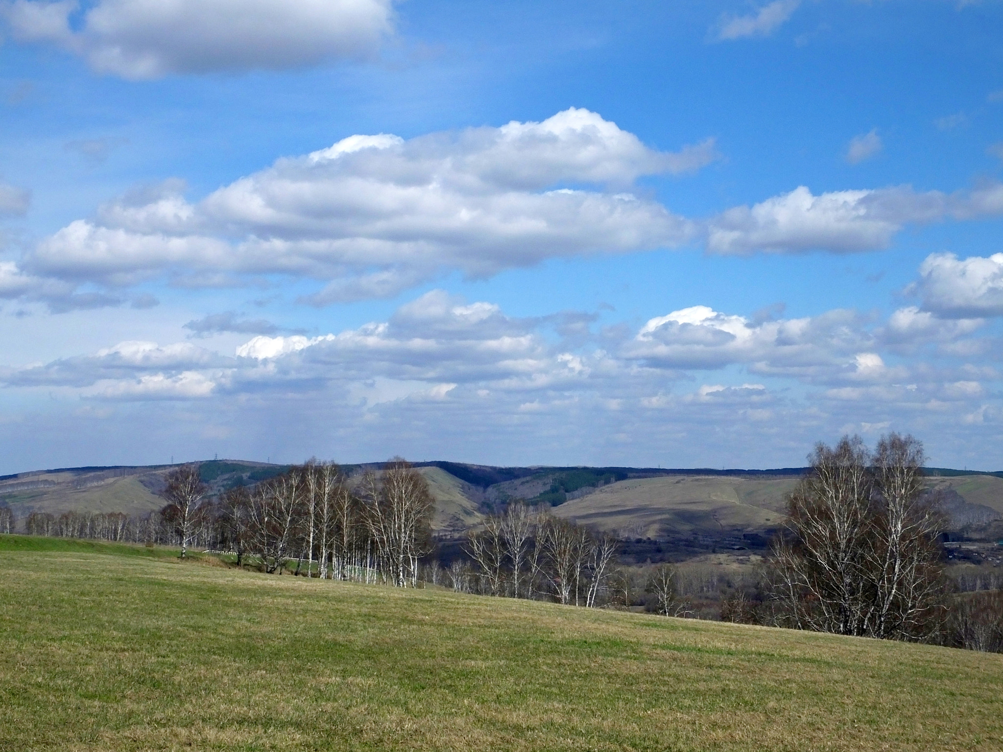 Fujifilm FinePix HS50 EXR sample photo. Spring forest photography