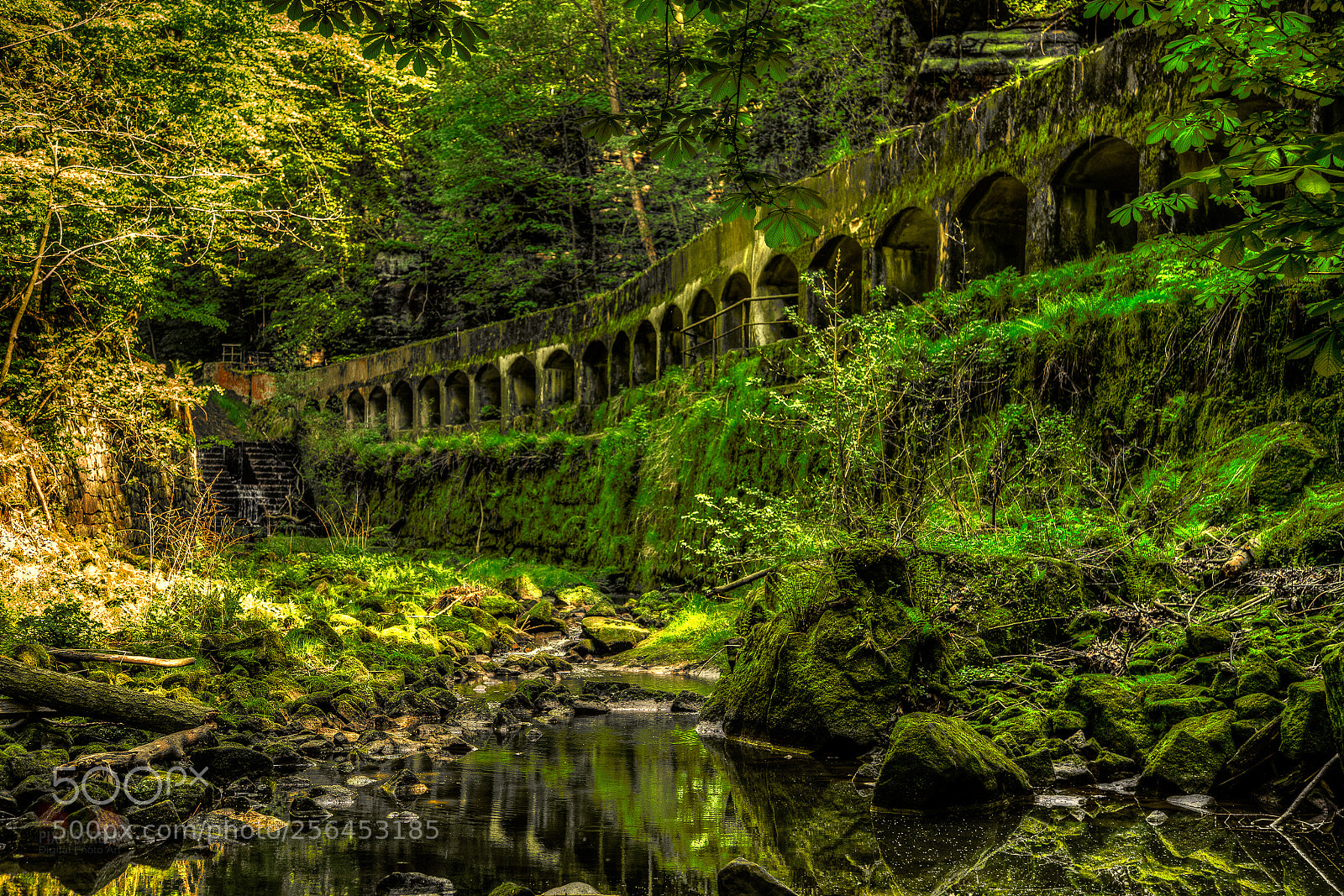 Canon EOS 6D sample photo. Fantasy world... photography