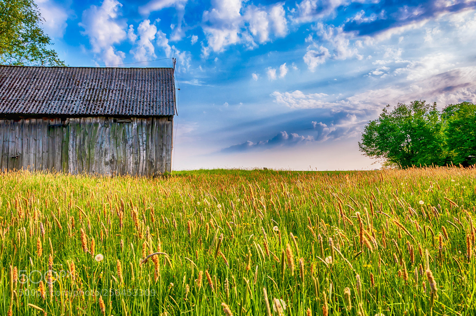 Nikon D90 sample photo. Barn in the meadow photography