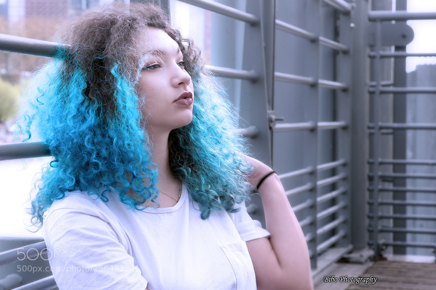 Canon EOS 5D sample photo. I see my future photography