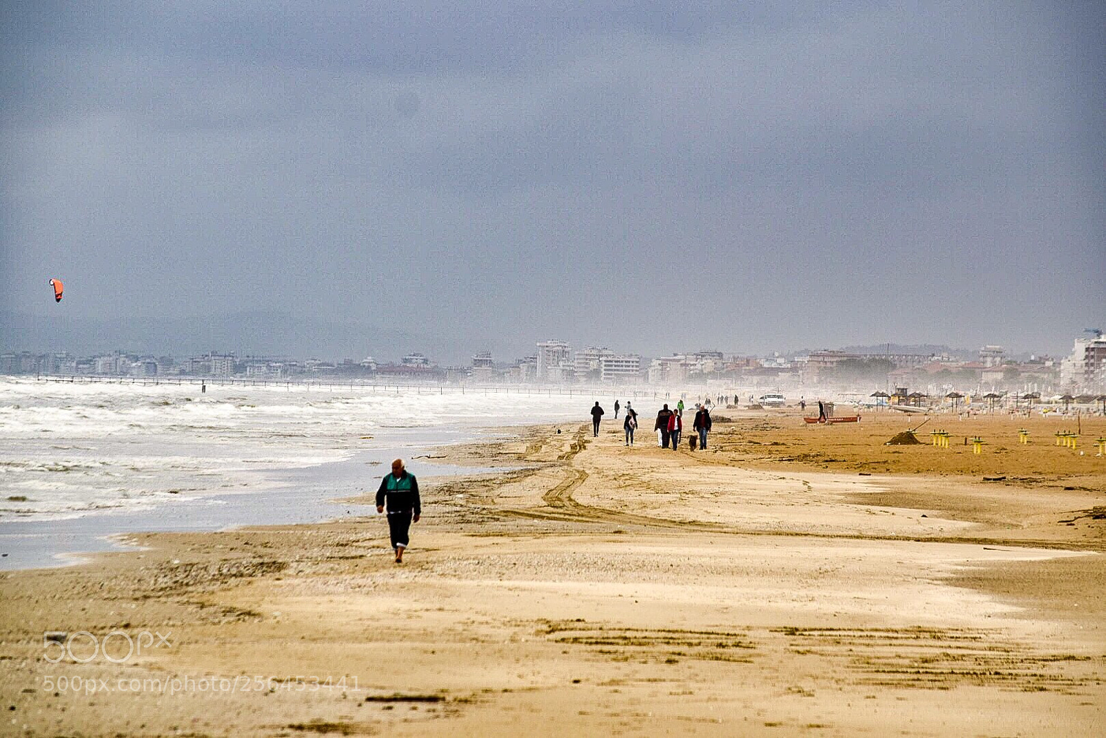 Nikon D3300 sample photo. Windyfriday photography