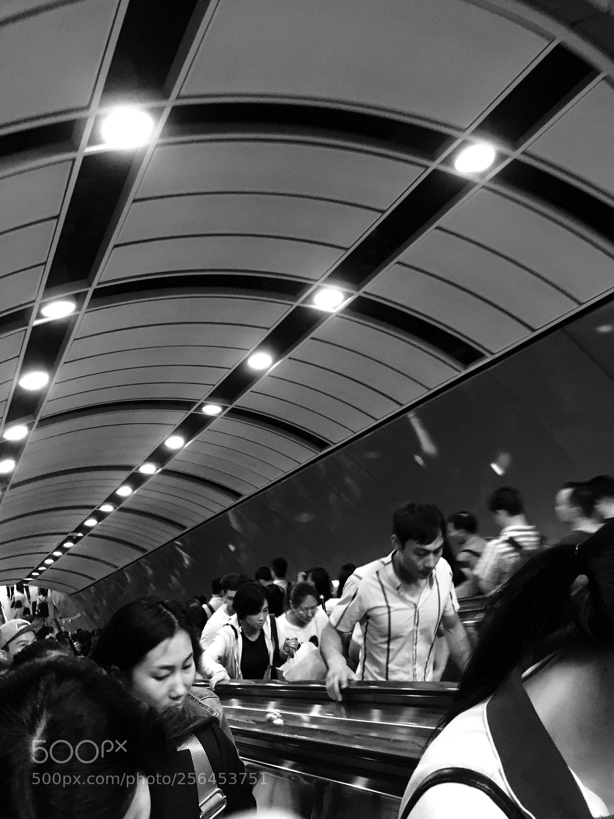 Apple iPhone SE sample photo. 簇拥 photography